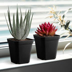 80 Pcs Nursery Pots 4 Inch, Plastic Seed Starting Pot - Image 7