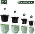 T4U 4.5 Inch Plant Pots Self Watering, 6 Pack African Violet Pots, Small Plant - Image 3