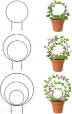 3 Pcs Different Sizes Metal Hoya Trellis, Small Round Indoor Plant Trellis by Whtawtaw