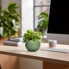 Ceramic Plant Pots - Image 3