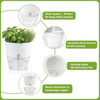 Planterhoma 5 Pack Self Watering Pots - Image 6