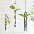 3 Pieces Hanging Glass Hydroponic Planter Transparent Test Tube Plant Vase - Image 5