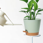 Self Watering Green Plastic Plant Pot Flower Planters - Image 7