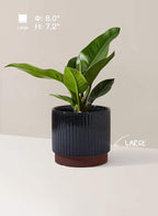 LE TAUCI Ceramic Plant Pots - Image 3