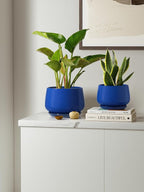 LE TAUCI Plant Pots, 4.1+5.1+6.5 inch, Ceramic Planters - Image 7
