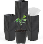 June Fox Square Nursery Pots 3.3 Inches Flexible Plastic Seedling Pots Square by June+Fox