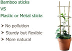 Bamboo Trellis, 16in Ladder-Shaped Trellis - Image 4