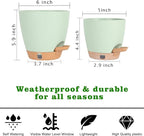 Self-Watering Plant Pots for Indoor Plants: 5/6 Inch Plastic Planter - Image 2