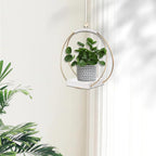 Hanging Planters for Indoor Plants, Plant Hanger - Image 2