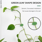 60 Pcs Plant Climbing Wall Fixture Clips Self-Adhesive Hook Vines Traction - Image 4