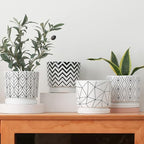 Ton Sin Plant Pots, 5.5 Inch White Pots - Image 3