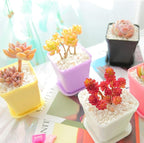 Anyumocz 24 Pack Plastic Square Nursery Pots 3 Inch Plastic Plant Pots - Image 7