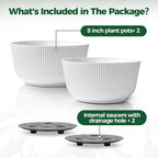 T4U 8 Inch Self Watering Pots for Indoor Plants, 2 Pack Plant Pots, Durable - Image 6