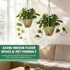 Self-Watering Hanging Planters for Indoor Plants Set 2-Piece Includes Plant - Image 4