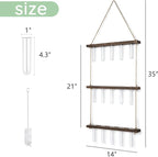 Mkono Plant Propagation Tubes, 3 Tiered Wall Hanging Terrarium - Image 6