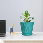 6 inch Flower Pots, 5 Pack Plant Pots - Image 5