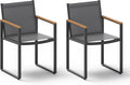 Outdoor Dining Chairs Set of 2, Aluminum Patio Dining Chiars by Oasbira