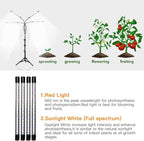 GHodec Grow Light with Stand, 5500K Full Spectrum Gooseneck Floor Plant Light - Image 4