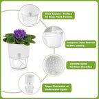 Planterhoma 12 Pack Self Watering Pots - Image 6