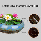 7.3 Inch Succulent Planters Pots Shallow Ceramic Glazed Planter Pots, Lotus - Image 4