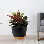 10/9/8 inch Self Watering Pots - Image 7