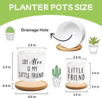 Say Aloe to My Little Friend Planter Pot, Funny Plant Pots, Aloe Plant Pot - Image 2