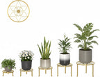 5 Pack Metal Plant Stands 5-Pack Round Supports Display Rack Tiered Plant Stand - Image 2
