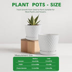 Docrin Ceramic Plant Pots Set of 2, High-Fired Clay Indoor Planters - Image 4