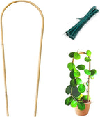 Indoor Plant Trellis for Climbing Plants 16in, 6 Pack Arch Bamboo Trellis for by Cambaverd