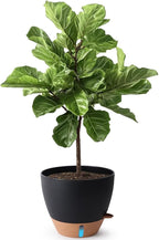 T4U 12 Inch Self Watering Pot by T4U