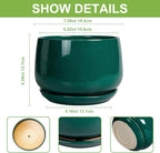 G EPGardening Ceramic Planter for Indoor Plants - Image 3