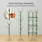 30-Pack Monstera Plant Support Stakes - Image 6