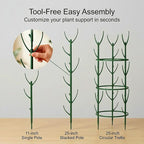 20-Pack Monstera Plant Support Stakes - Image 6