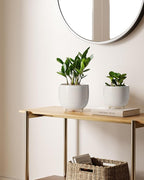 LE TAUCI Ceramic Plant Pots, 5.1 + 6.4 Inch Footed Pots - Image 3