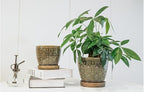 Docrin Dark Green Ceramic Planter Set - Image 7