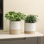 Nihow Self Watering Plant Pot: 6 Inch Ceramic Planter - Image 5
