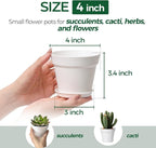 T4U 4 Inch Plant Pots 8-Pack, Small Flower Pots - Image 2