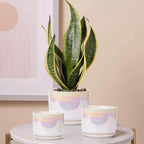 EFISPSS Plant Pots, 4+5+6 Inch Pots - Image 6