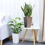 2 Pack Self Watering Planters 10.7" x 6.9" Planter - Image 6