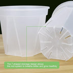 GREENPARA Transparent Plastic Planter 4/5 /6 inch Plant Nursery Pots - Image 4
