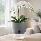 Planterhoma 5 Pack Self Watering Pots - Image 2