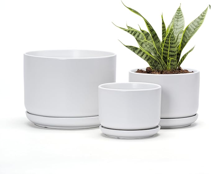Ton Sin Plant Pots, 4.1+5.1+6.5 inch, Ceramic Planters by TonSin