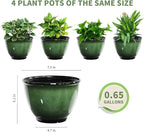 8 Inch Plastic Plant Pots, Glossy Smooth Finish Planter - Image 2