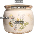 Pots for Plant, Cottage Rustic Clay Ceramic Tabletop Flower Pots, 6.29'' Plant - Image 7