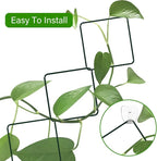 2 Pack 36pcs Chain Trellis for Climbing Plants Indoor & Outdoor, Garden Wall - Image 4