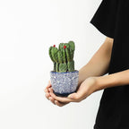 Selamica Ceramic Succulent Pots - Image 2