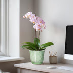 Ceramic Plant Pots - Image 3