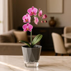 6 Pack Self Watering Pots for Indoor Plants, 5 Inches Self Watering Planters - Image 2