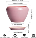 10 Inch Plant Pot - Image 3