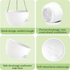 2 Pack 10 Inch Self Watering Hanging Planters - Image 7